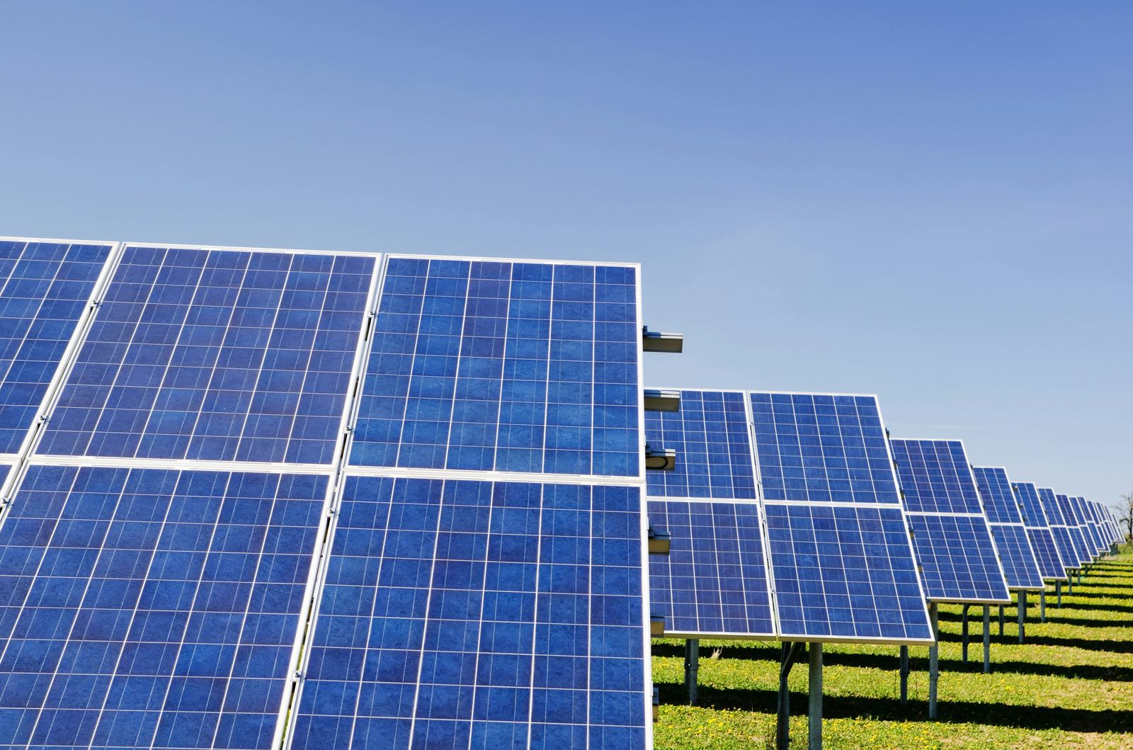 Row of ground-mounted solar panels under a clear sky